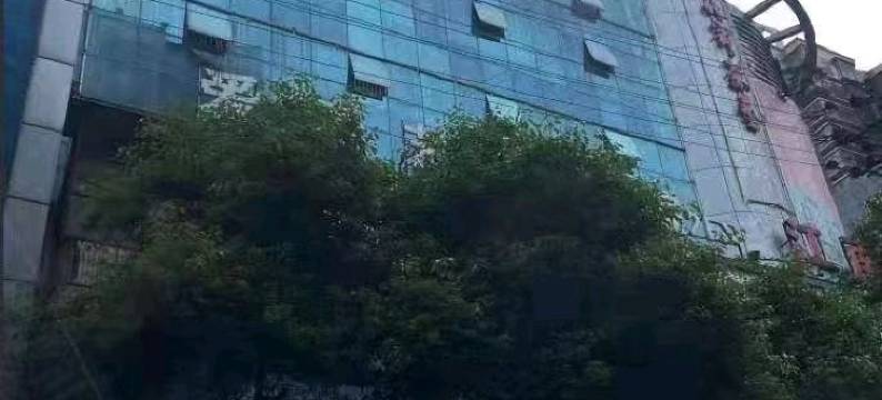 天程大酒店(花垣边城大厦店)图片