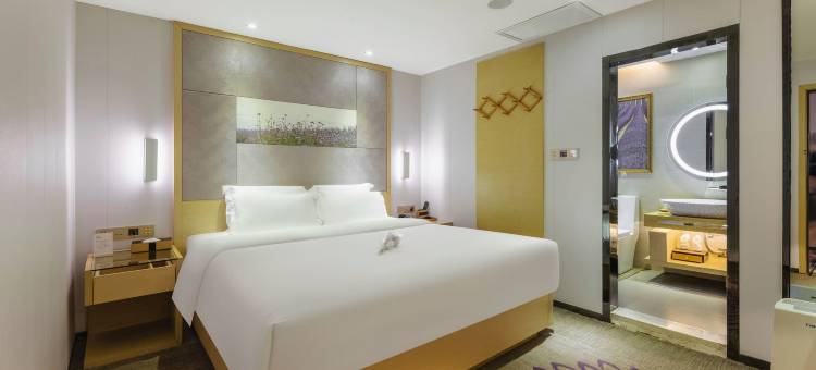 麗枫酒店(长沙步行街南门口地铁站店)图片