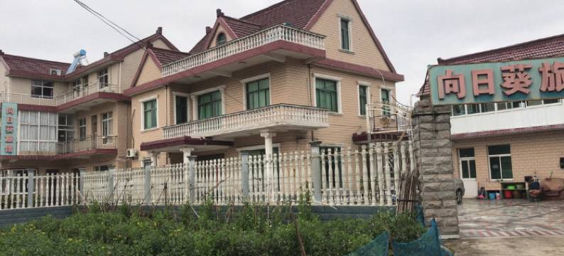 上海向日葵旅馆图片