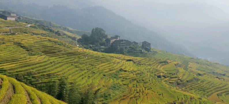 龙脊梯田聚仙阁图片