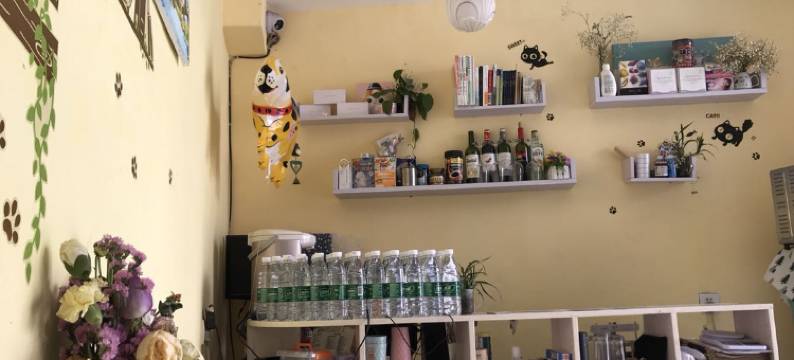 凤凰蜗牛小栈(凤凰古城店)图片