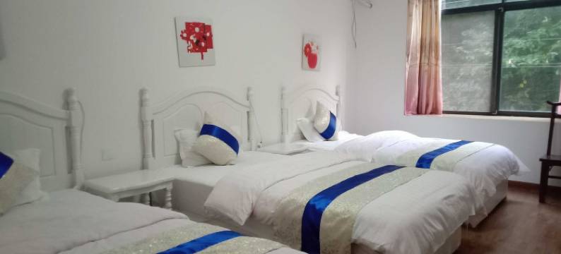 大邑登山道酒店图片