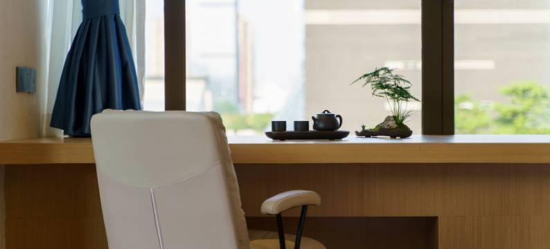 深圳福田岚珊酒店(福田站店)图片