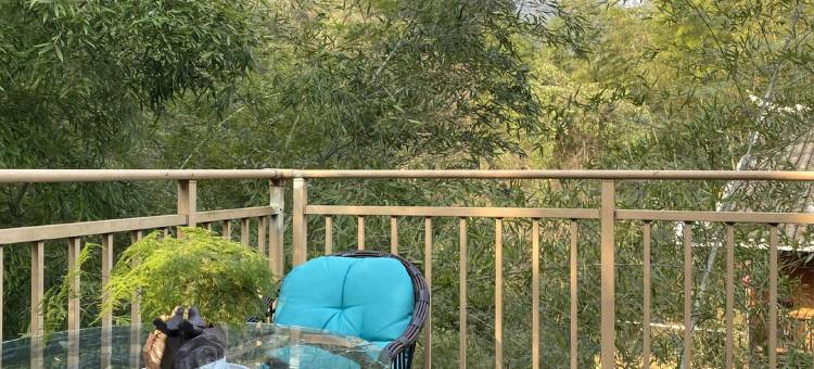 靖州青龙界民宿图片