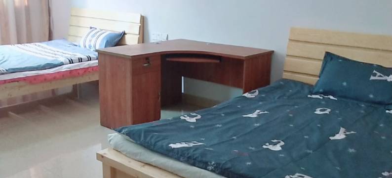 东阳星窝民宿图片