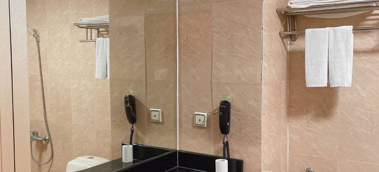 敦煌酒店(东莞东站店)图片