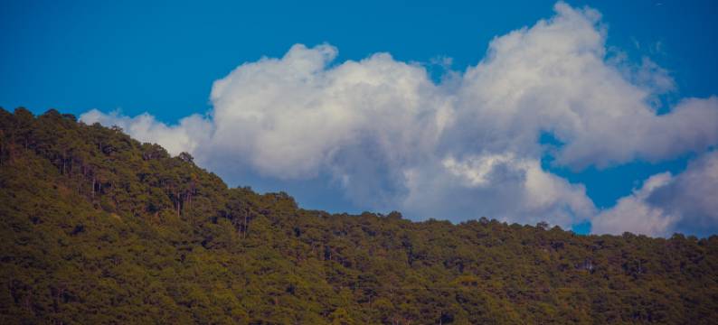 漾濞天恒正漾坊酒店图片