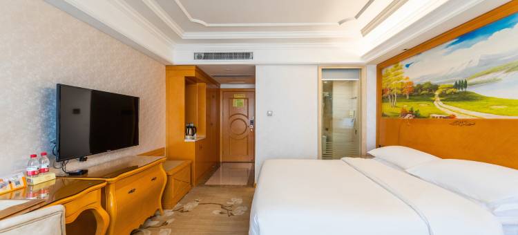 维也纳国际酒店(长沙木莲西路省人社厅店)图片