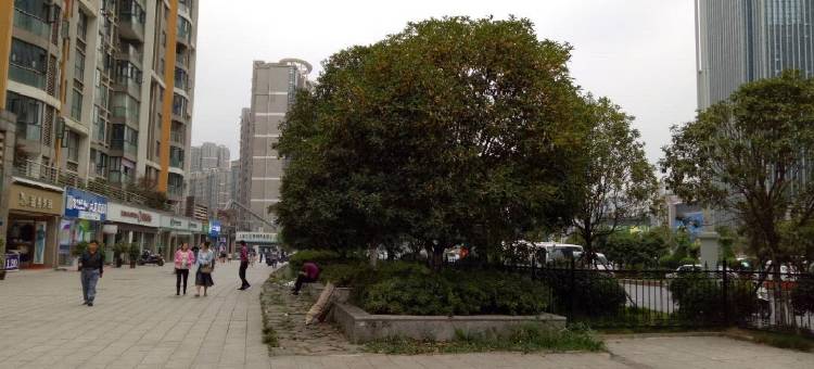 贵阳约好了公寓图片