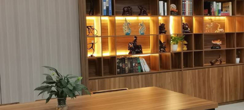 深圳正泰商务酒店(深圳龙岗龙城广场地铁站店)图片