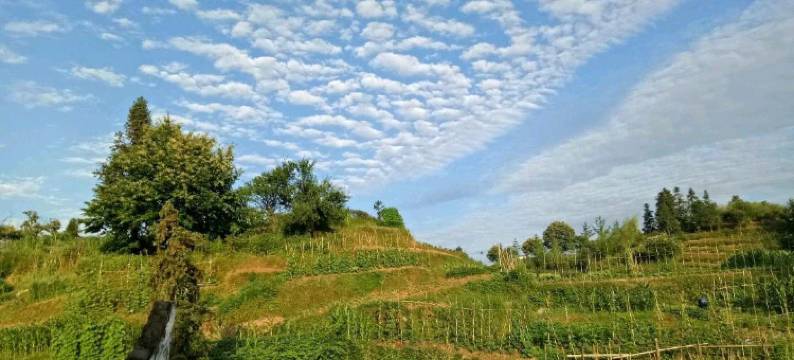 忆江南行摄之家民宿图片