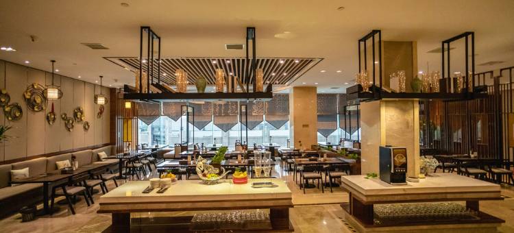 泌阳尚东尊悦国际酒店图片