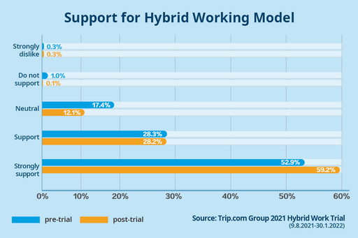Hybrid Work Support Chart v2