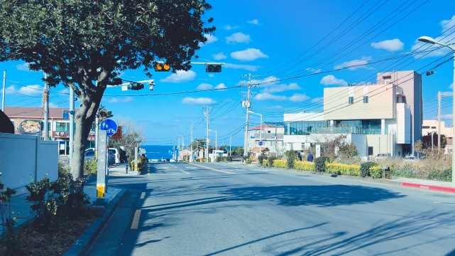 圖2：Trip.com數據分析2026年春節期間出境機票預訂韓國濟州成長超過6倍。取自Trip moment 玩到破產。