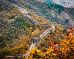 慕田峪長城蒙古櫟紅葉，秋日山野賞紅指南