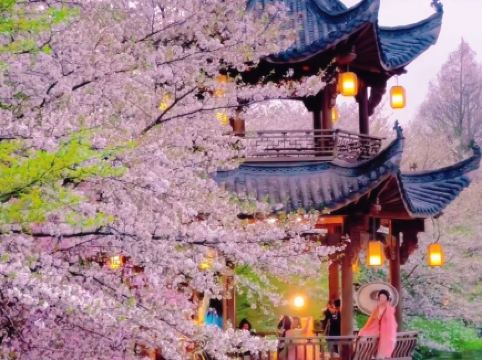 Hangzhou's West Lake adds 11th scene, ancient flower festival returns