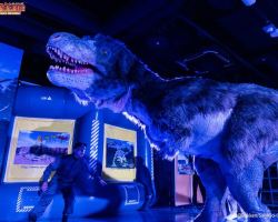 Tokyo Tower ultimate creatures festival