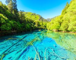 Teachers' Day free admission at Jiuzhaigou and more, exclusive perks