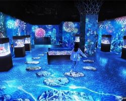 Grand fireworks festival at the aquarium