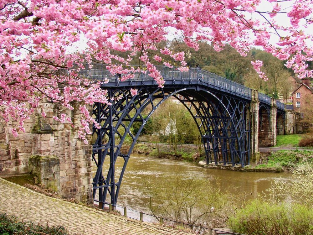 Take a Train to Cambridge to Experience Literature