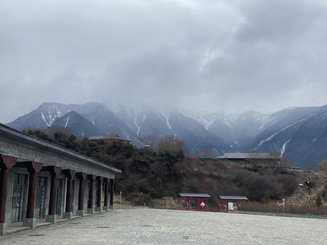 世界柏树王园林风景区旅行图片 6