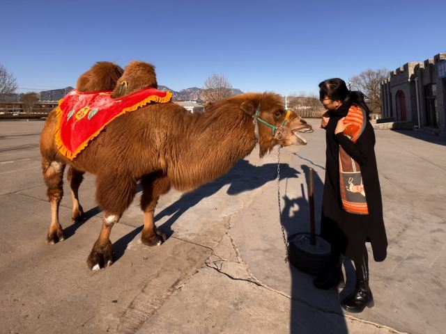 孟姜女庙旅行图片 7
