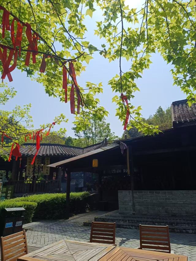 虔心小镇腐竹坊旅行图片 1