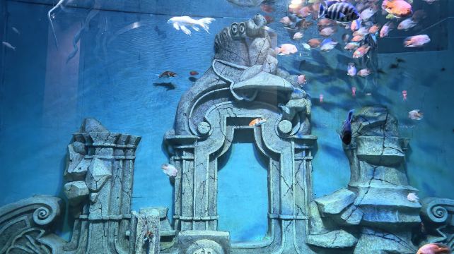 马塔塔动物乐园