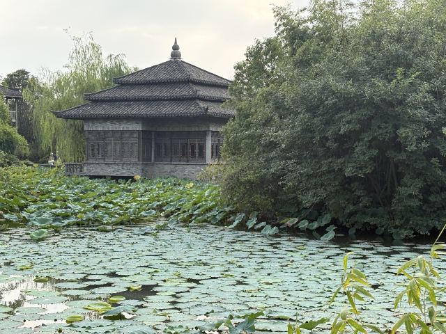 上海韩湘水博园旅行图片 2