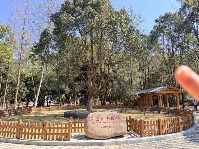 九鲤湖风景区旅行图片 1