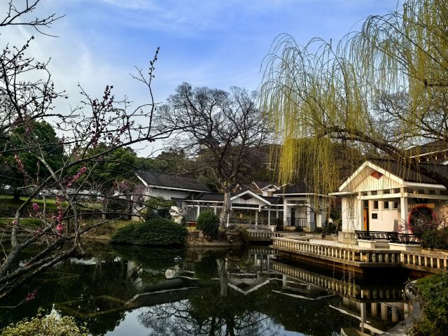 荣氏梅园旅行图片 5