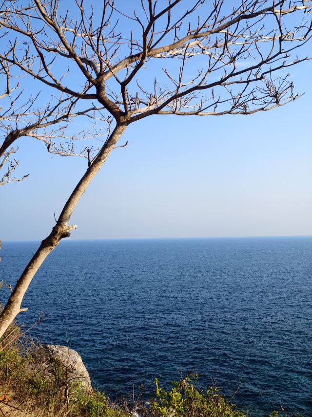 蜈支洲岛旅游风景区旅行图片 4