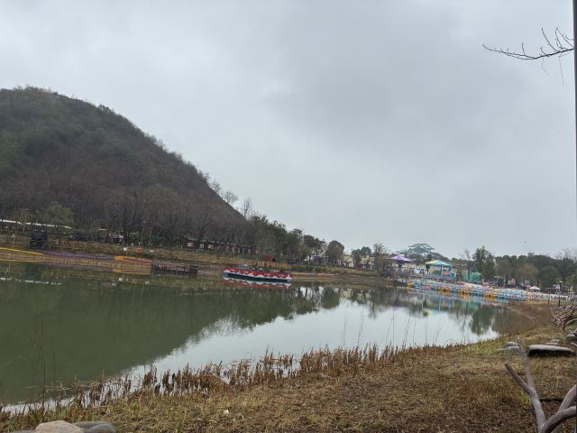苏州乐园森林世界旅行图片 9