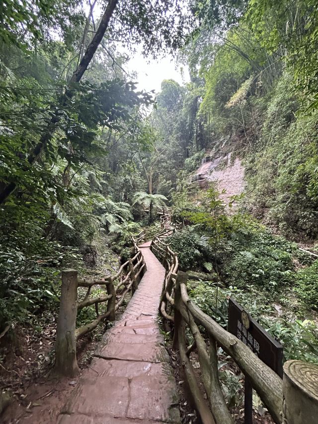 中岩寺景区旅行图片 2