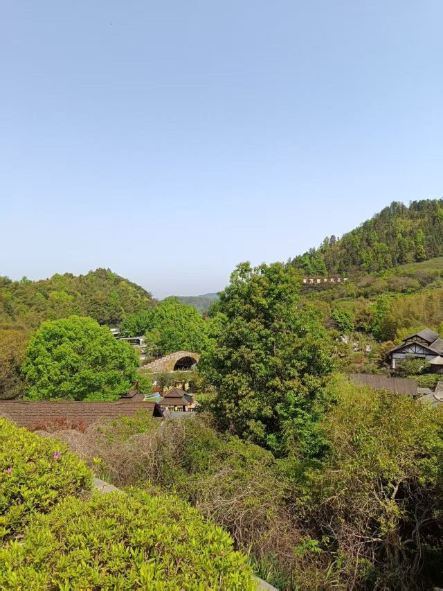 虔心小镇腐竹坊旅行图片 3