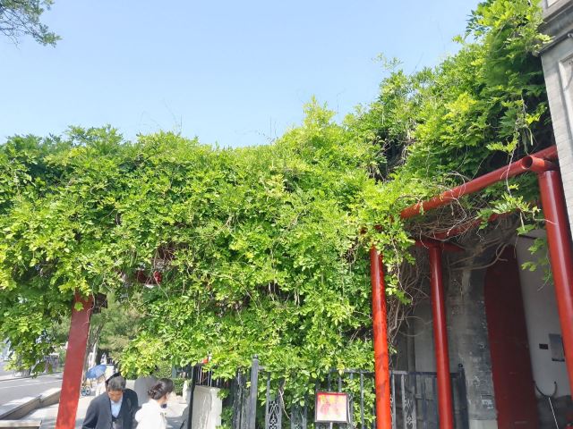 纪晓岚故居旅行图片 2