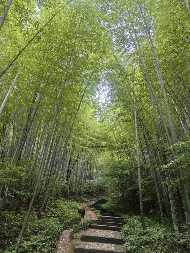 南山风景区旅行图片 6