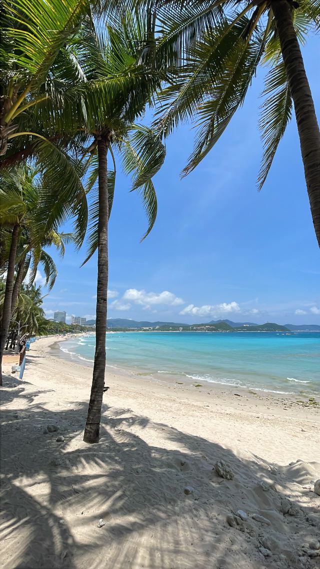 大东海旅游区旅行图片 1