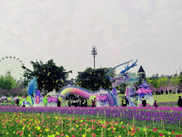 音乐·百花谷旅行图片 8