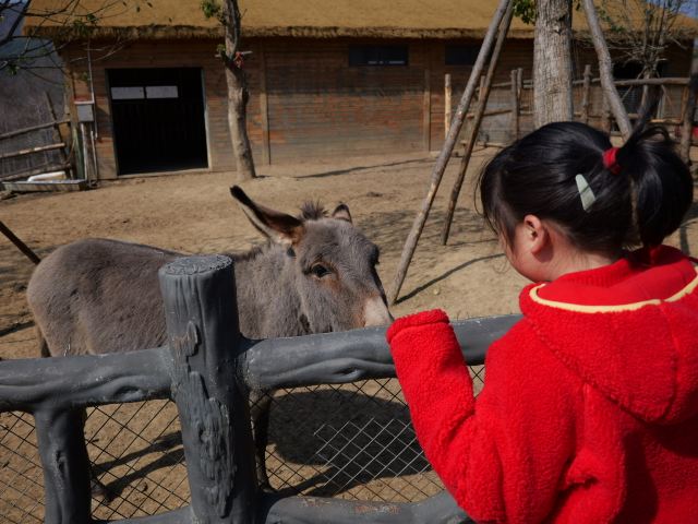 九江野生动物世界旅行图片 4