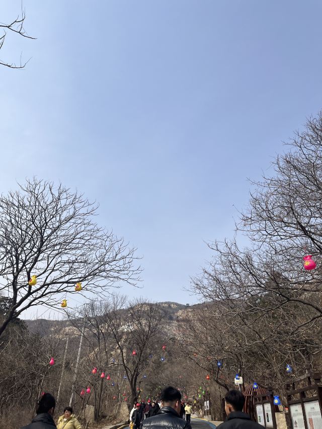 青岩寺风景区旅行图片 1