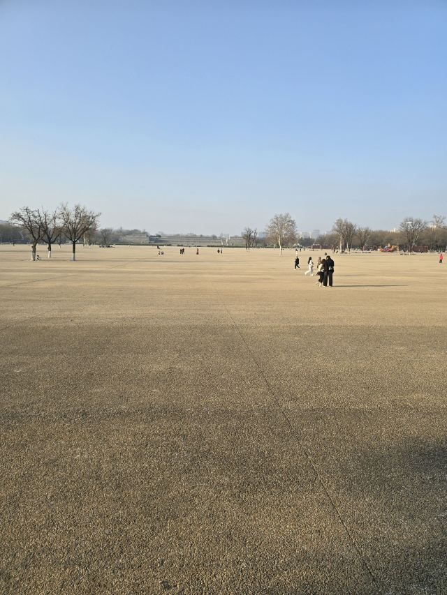 大明宫国家遗址公园旅行图片 1