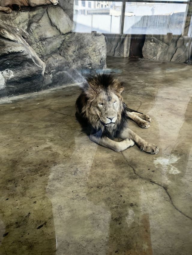 沈阳龙之梦动物科普乐园旅行图片 1