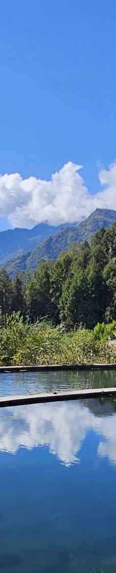 卧龙中华大熊猫苑神树坪基地-汶川-YoYo_2V8B9X3Q