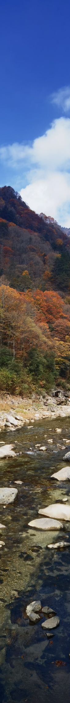 米仓山国家森林公园-南江-卡卡