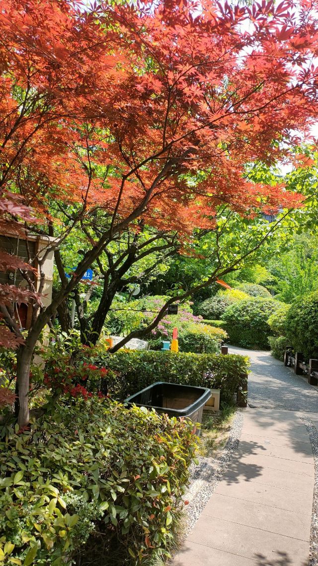 西安临潼悦椿温泉旅行图片 2