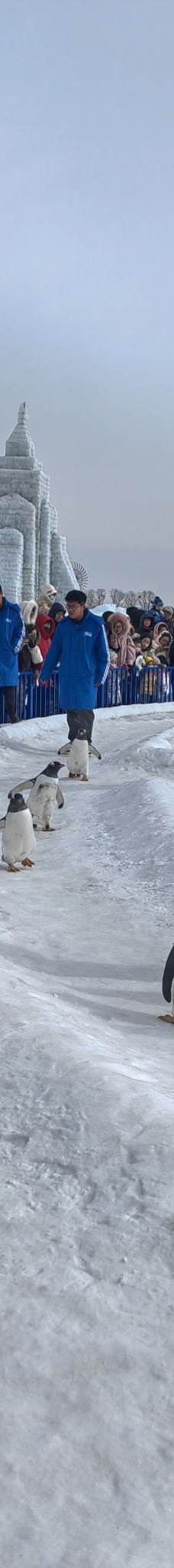 大黑河-呼和浩特-YoYo_7N6Z0R0X