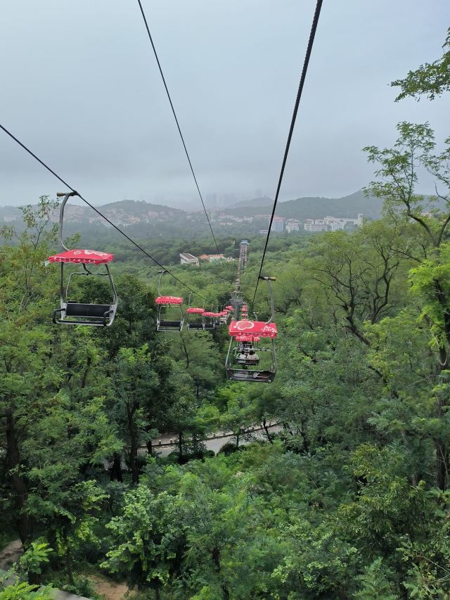 太平山旅行图片 3