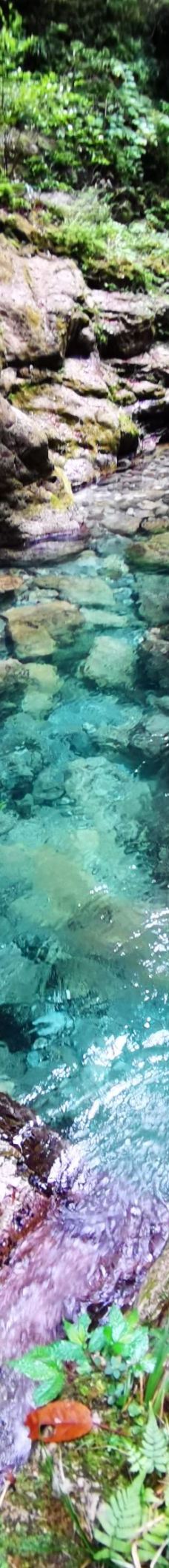 观音岩-绥阳-无痕～微笑面对