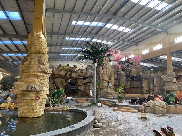 水师森林公园旅行图片 8